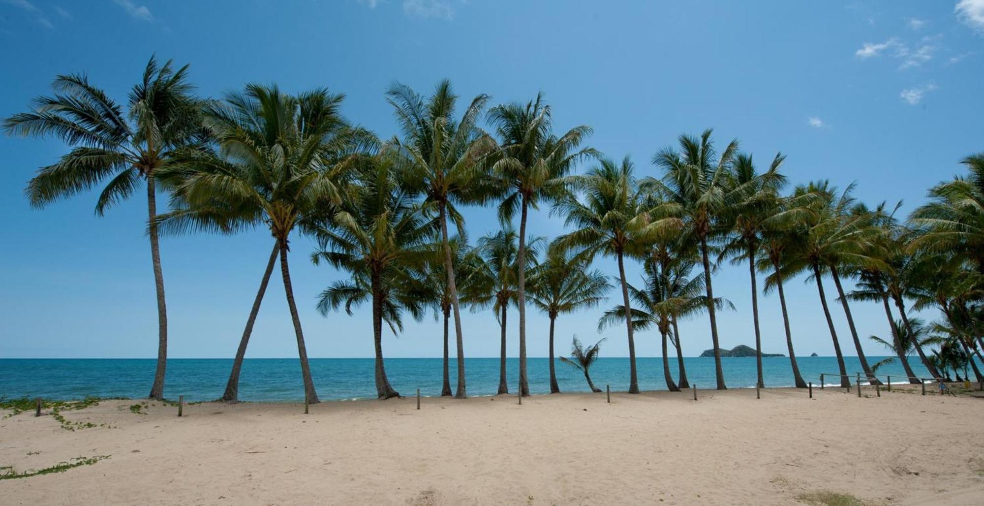 Ellis Beach Oceanfront Holiday Park ปาล์มโคฟ ภายนอก รูปภาพ