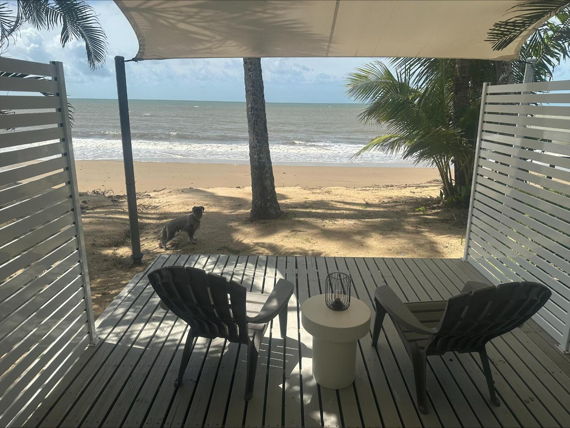Ellis Beach Oceanfront Holiday Park ปาล์มโคฟ ภายนอก รูปภาพ